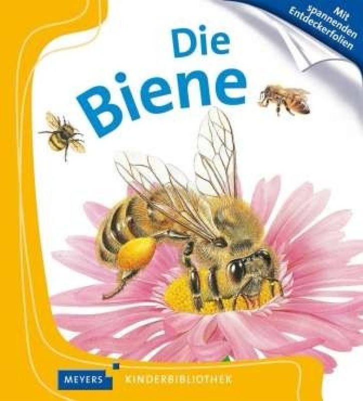 Buch
