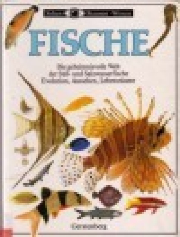 Buch