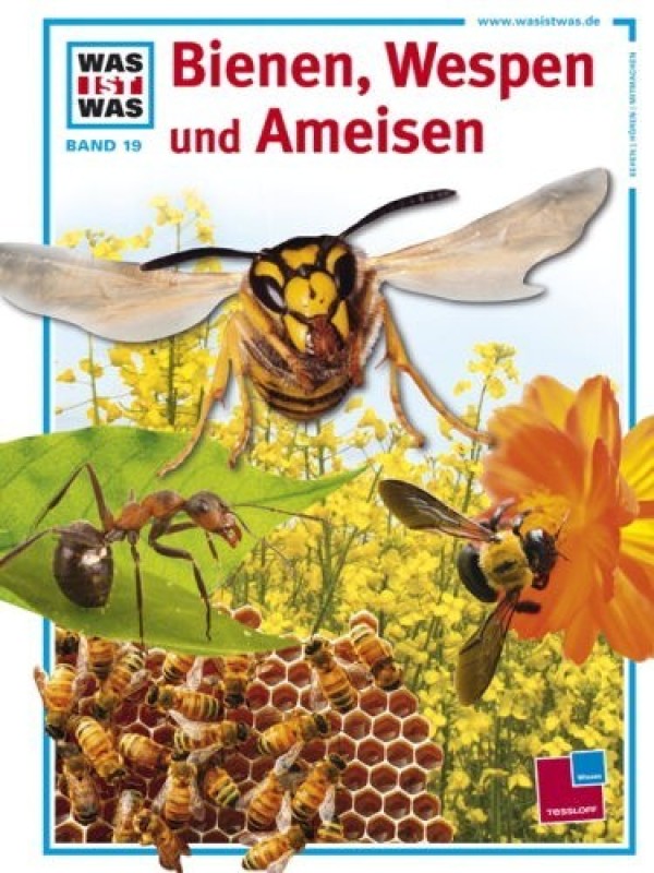 Buch