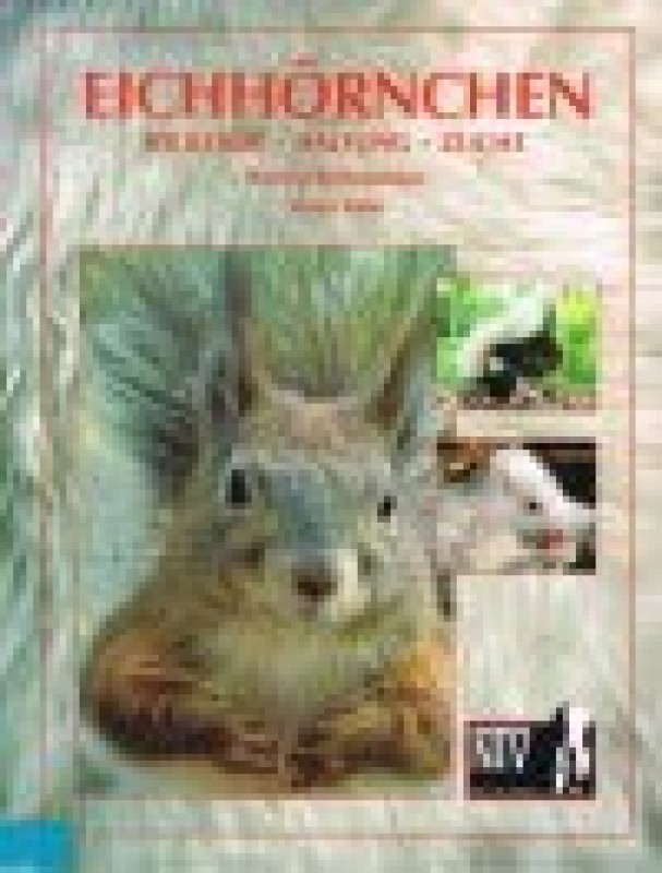 Buch
