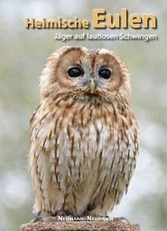 Buch